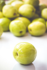 Milk Jujube is a new species of jujube from Thailand