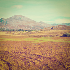 Fototapeta premium Plowed Fields