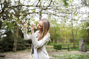 Naklejka premium the girl enjoys a smell of the blossoming cherry