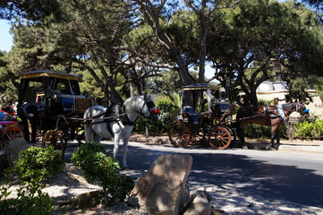 Cal&egrave;ches devant Rabat et Mdina