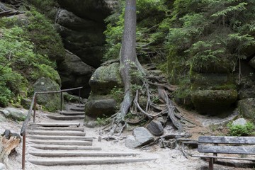 Fototapeta premium National Park of Adrspach-Teplice rocks. Czech Republic