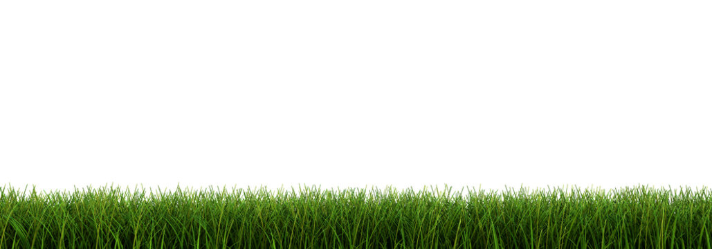 Grass closeup (clipping path included)