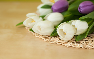 white and violet tulips on the table
