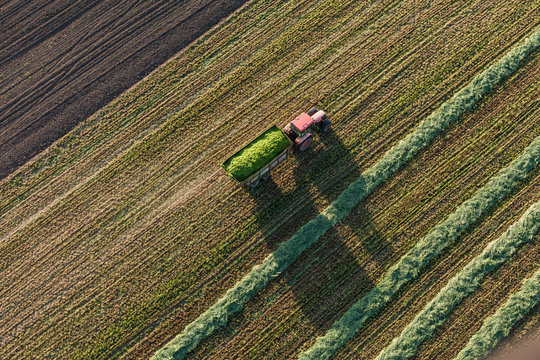 aerial view of harvest fields with  tractor