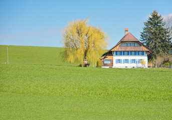 Fototapeta premium The Swiss Countryside
