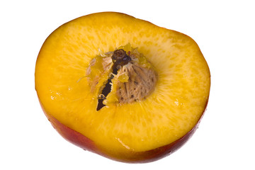 Peach fruit