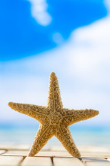 Fototapeta na wymiar Starfish on the deck at the beach