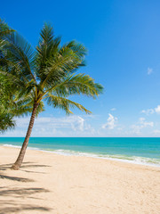 Obraz na płótnie Canvas Tropical beach of Koh Samui island