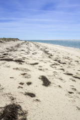 Armona island beach. Ria Formosa wetlands conservation region.
