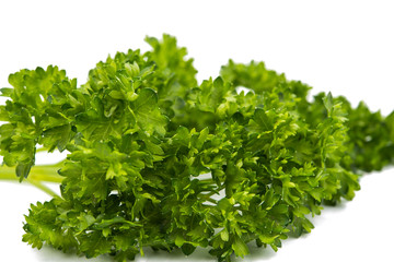green leaves of parsley