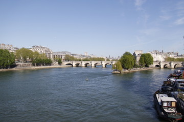 Fototapeta na wymiar Ile de la Cité et Pont Neuf à Paris