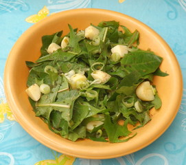 Löwenzahn mit Kartoffeln