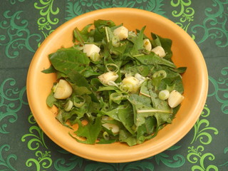 Löwenzahn mit Kartoffeln