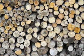 Möbelaufkleber Pile of wood logs ready for winter  © whatafoto