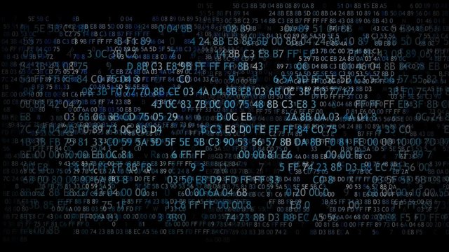 Hexadecimal code running up a computer screen. Blue digits.