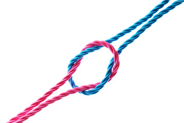 Reef knot isolated on white background