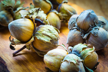 Hazelnuts cluster filbert nuts in the hard shell.
