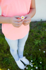 Hands holding a beautiful daisy