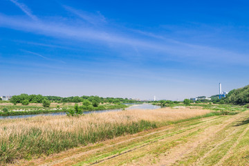 多摩川　河川敷