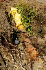 A fire hydrant lies in the hole