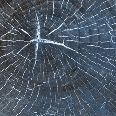 color grunge texture