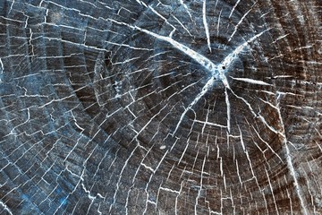 color grunge texture