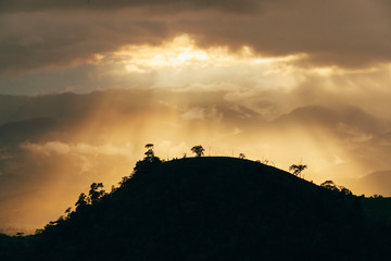 Sunset on the forest with mist.