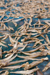 Dried fish, The traditional thai food.