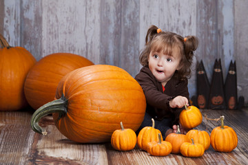 Pumpkins and Gourds