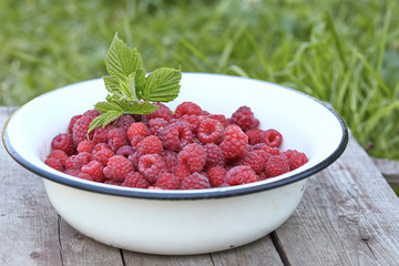Fresh raspberry in a bowl