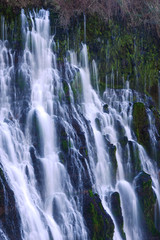 Fototapeta na wymiar burney falls in california