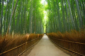 Peel and stick wall murals Bamboo bamboo groove