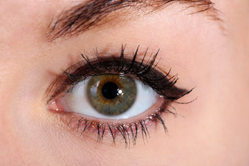 Obraz premium Human eye close up