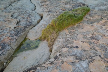 Cracked stones with grass in coastal area