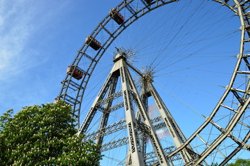 Wiener Riesenrad mit blühendem Kastanienbaum