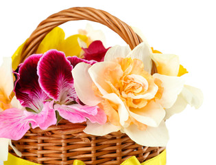 Beautiful flowers in basket close up