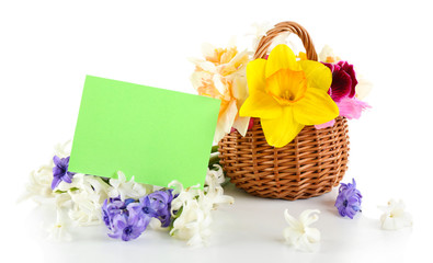 Beautiful flowers in basket with card isolated on white