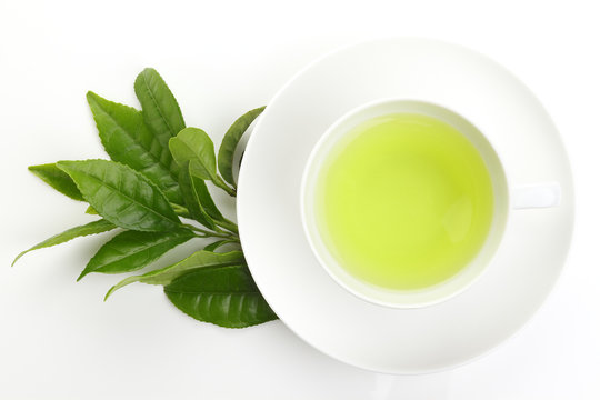 Japanese green tea and fresh green tea leaves