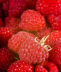 Raspberries