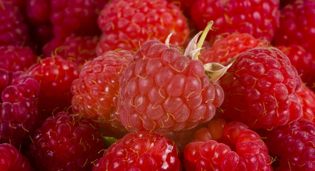 Raspberries