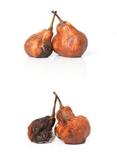 poire moisissure © shocky