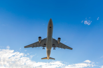 Airplane ready for landing