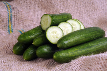 Cucumber
