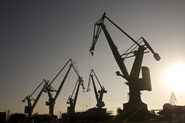 Fototapeta na wymiar Heavy industrial cranes used for ship construction 