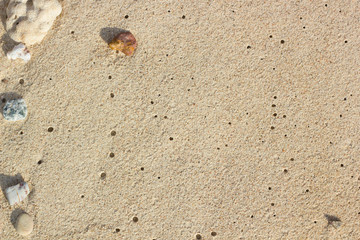 Sand texture background, close up of sand, beach background