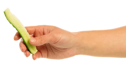 Hand with fresh ripe cucumber