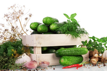 Green ripe Cucumbers