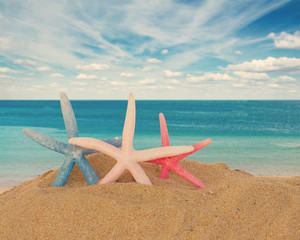 Fototapeta na wymiar three starfish in sand