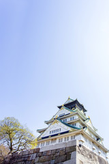 Fototapeta premium 青空の大阪城
