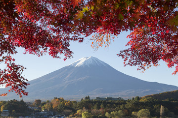 Plakaty  Liście klonu zmieniają kolor na jesień w Mt.Fuji, Japonia